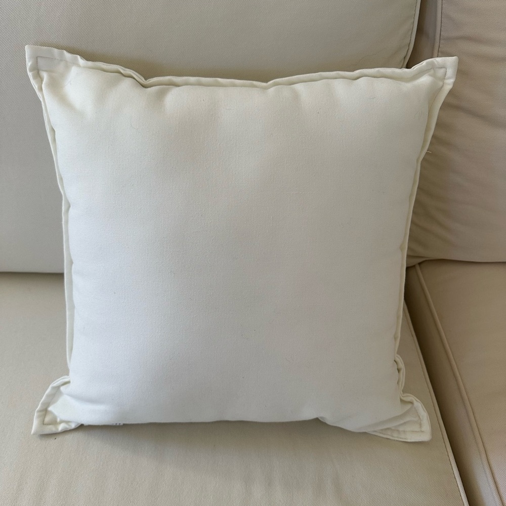 Pottery Barn Indoor/Outdoor Pillows - Set of 2